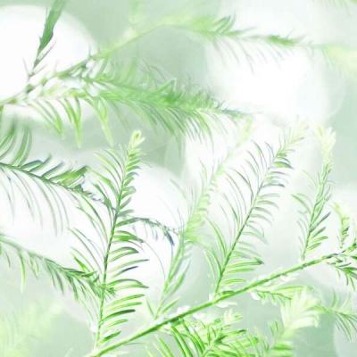 豌豆游戏盒子app下载