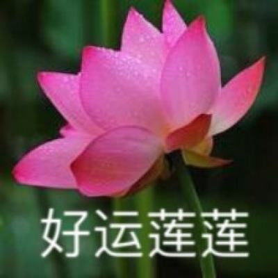 梅露可物语日服安卓下载